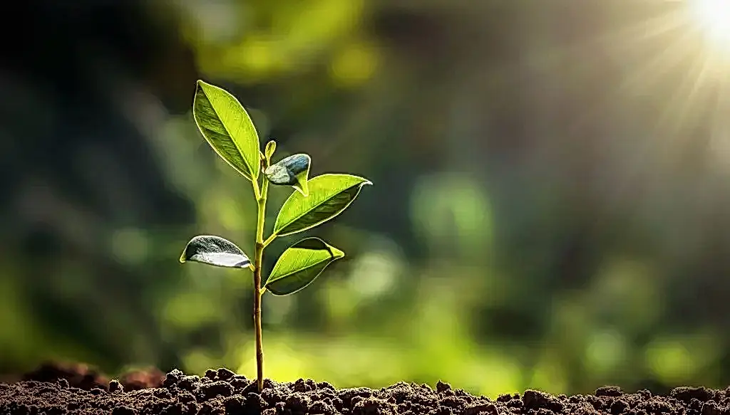 Evolve Salon & Spa | Sustainability Practices